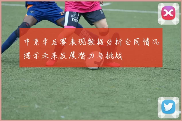申京季后赛表现数据分析合同情况揭示未来发展潜力与挑战
