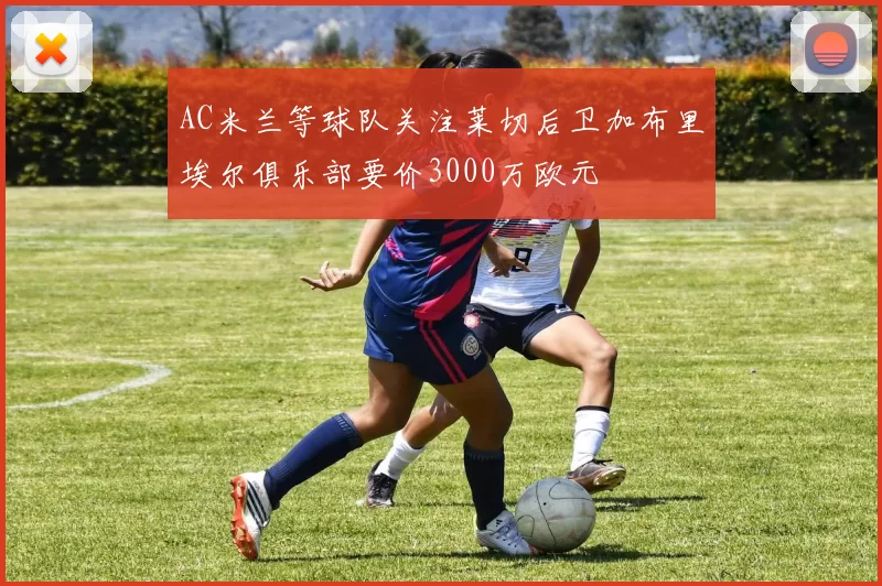 AC米兰等球队关注莱切后卫加布里埃尔俱乐部要价3000万欧元